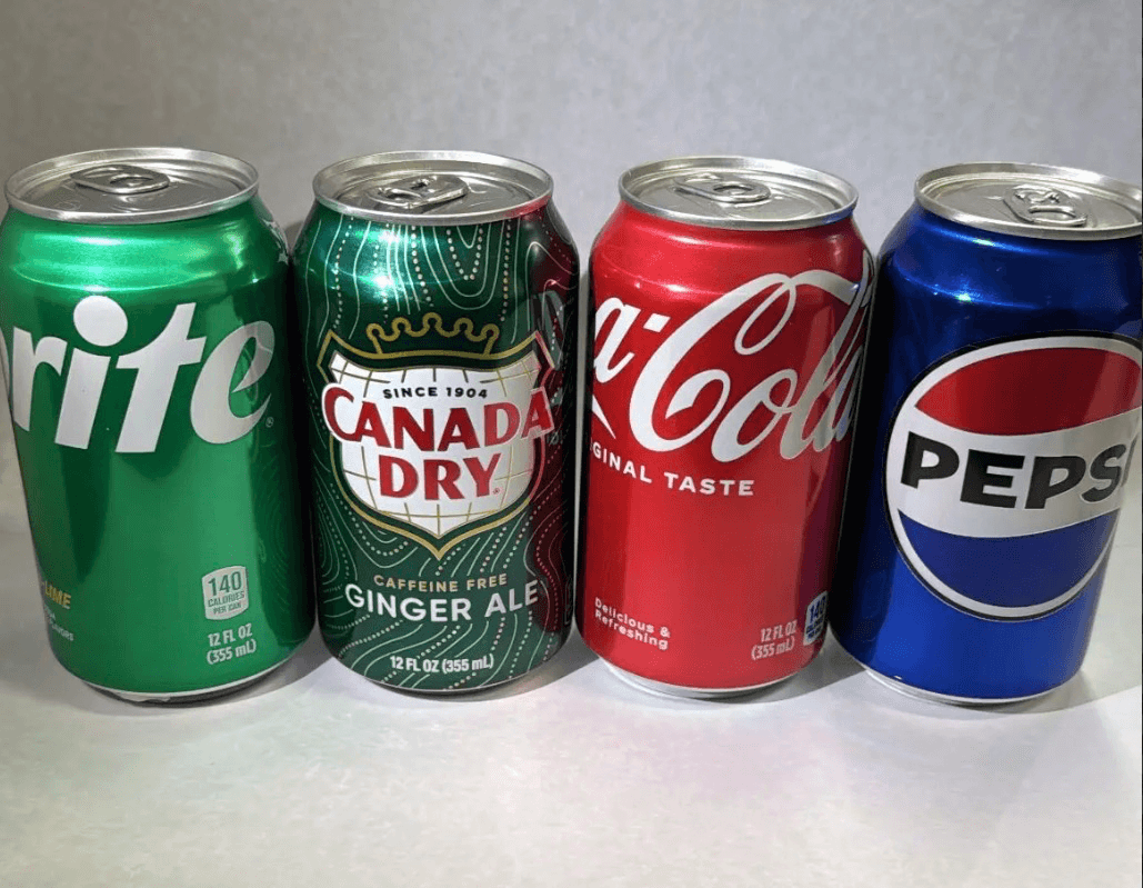GASEOSAS EN BOTELLA Y LATA